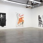 Luhring Augustine Gallery Jeff Elrod-1