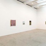 Installation image for Merlin James: Genre Paintings, at Sikkema Jenkins & Co.