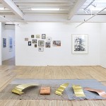 Installation image for The Secret Life, at Murray Guy