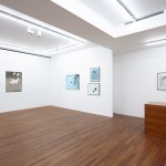 Installation image for Kunié Sugiura: Little Families; Fixity of Nature, 1992-2001, at Taka Ishii Gallery