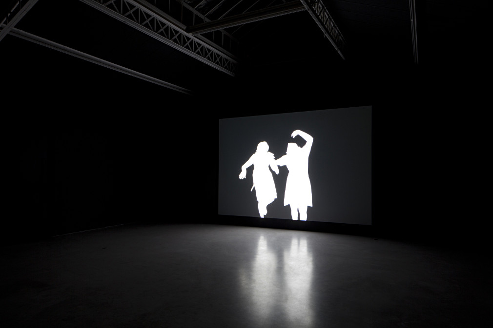 Alfredo Jaar Shadows at Mennour