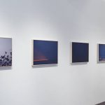 Installation image for Rinko Kawauchi: Halo, at Christophe Guye Galerie