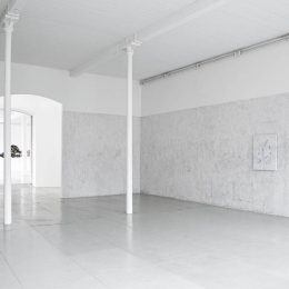 Installation image for Giuseppe Penone: Images de pierre, at Tucci Russo Studio per l’Arte Contemporanea