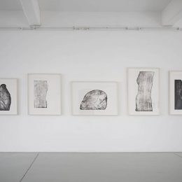 Installation image for Giuseppe Penone: Images de pierre, at Tucci Russo Studio per l’Arte Contemporanea