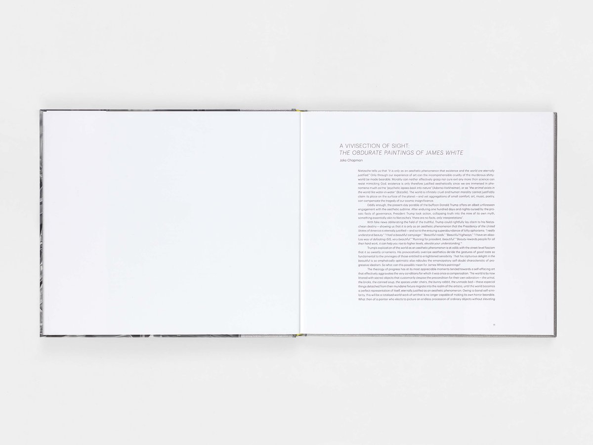 James_White_publication_BODIES_November_2017_Courtesy_the_artist_and_BlainSouthern_Photo_Todd_White_2_1200x1200