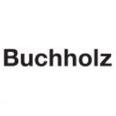 Logo for Galerie Buchholz