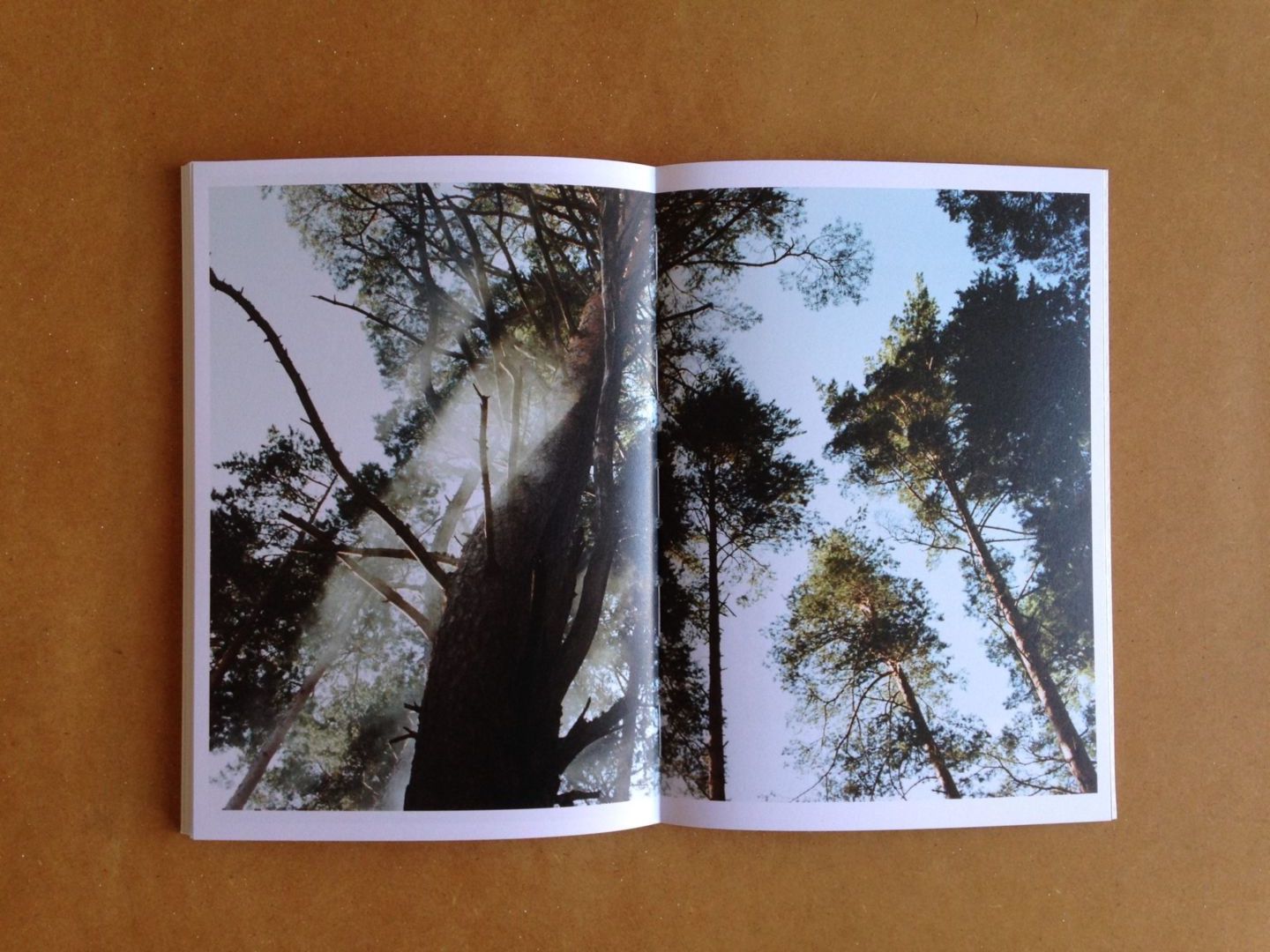 Lina Scheynius - Limited Edition - Signed Print + Books 12