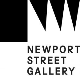 Logo for Newport Street Gallery