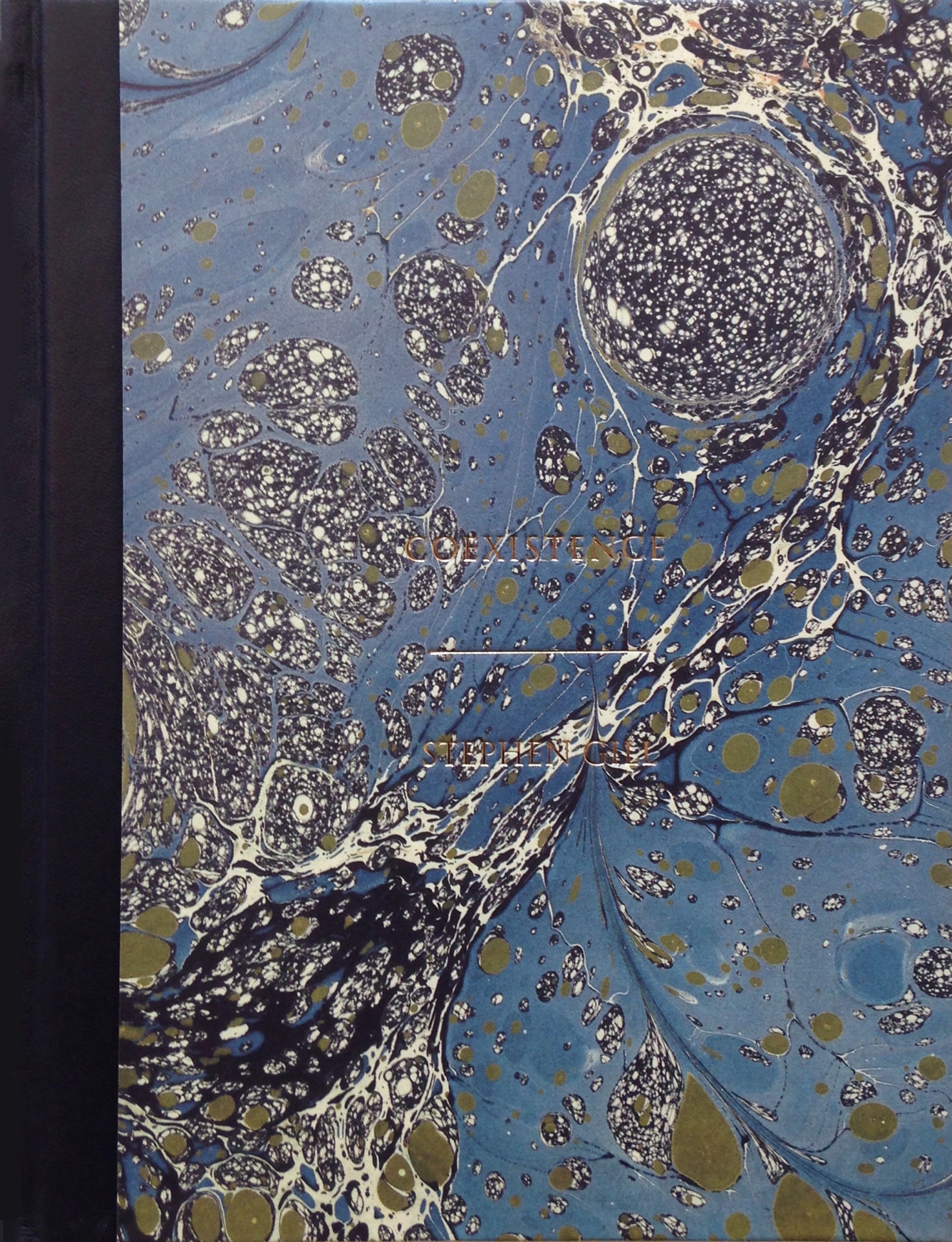 StephenGill_Coexistence_1