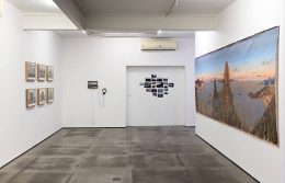 Installation image for Alberto Baraya: Estudios Comparados de Paisaje, at Nara Roesler