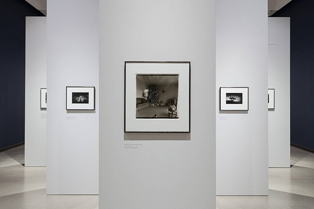 diane arbus in the beginning at Hayward Gallery