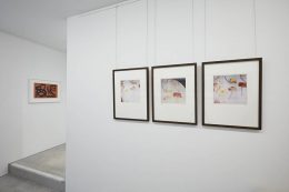 Installation image for Cy Twombly: Natural History, at Bastian