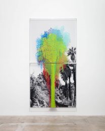 Charles Gaines, Numbers and Trees: Palm Canyon, Palm Trees Series 2, Tree #7, Mission, 2019