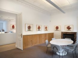 Image for David Nash: Trees, at Galerie Lelong