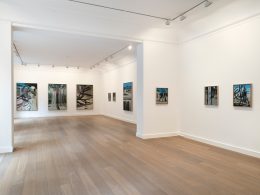 Image for Marc Desgrandchamps: Jardins obscurs, at Galerie Lelong