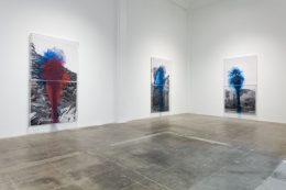 Image for Charles Gaines: Palm Trees and Other Works, at Hauser & Wirth Downtown