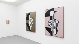 Image for Albrecht Schnider, at Mai 36 Galerie