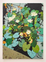 Hilary Pecis, Hilary Pecis, Hilary Pecis, Hilary Pecis, Hilary Pecis, Hilary Pecis, Hilary Pecis, Hilary Pecis & Hilary Pecis, Botanical Gardens, 2019