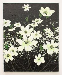 Hilary Pecis & Hilary Pecis, Dogwood, 2019