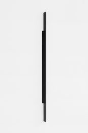Florian Pumhösl, Formed Speech 2019 Negative 10, 2019