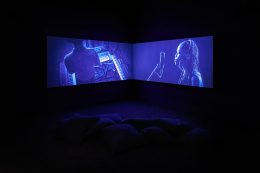 Image for I’ve grown roses in this garden of mine, at Goodman Gallery