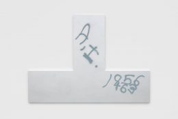 Torey Thornton, Isolation from fallen halt and intelligence in mirroring (remember Allen), 2019
