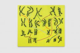 Torey Thornton, Masked Foundational Issues On Mass Microscopic Level (XY Coordinates Doomed On Entry), 2019