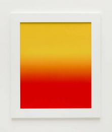 James Welling, ICYR, 2018