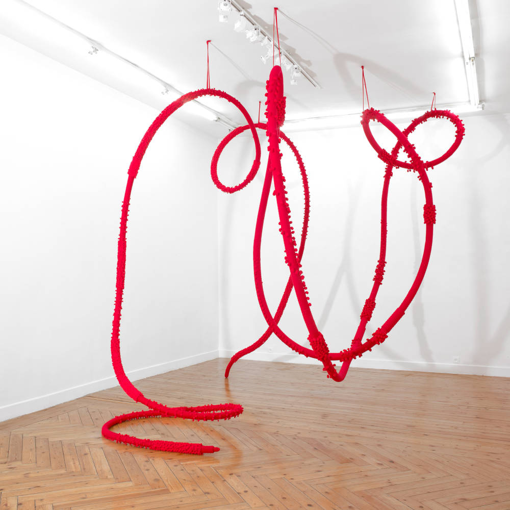 Concha García, Trepadora roja (Red Creeper), 2004