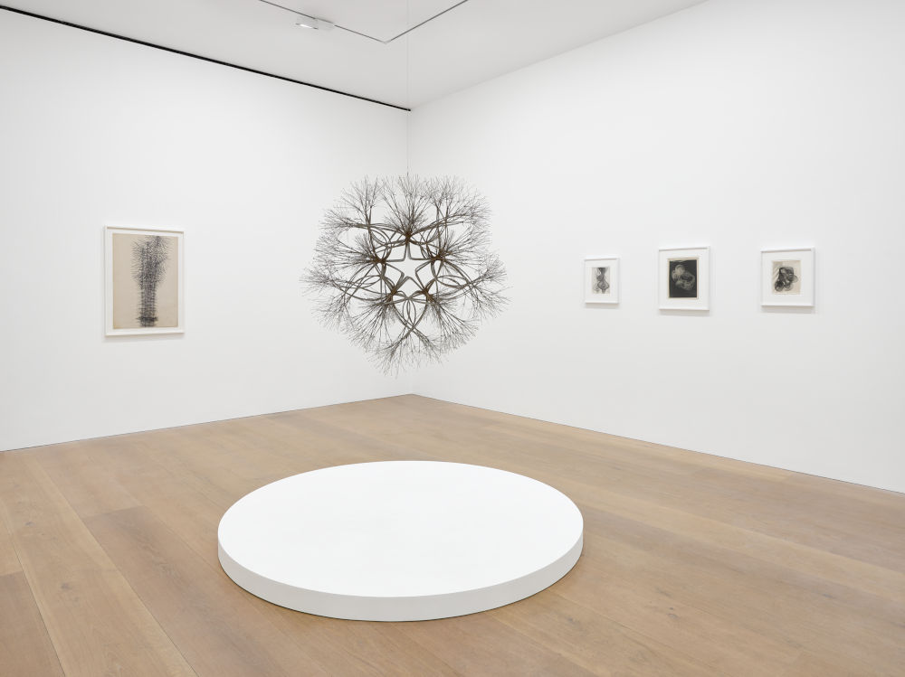 Installation image for Ruth Asawa: A Line Can Go Anywhere, at David Zwirner