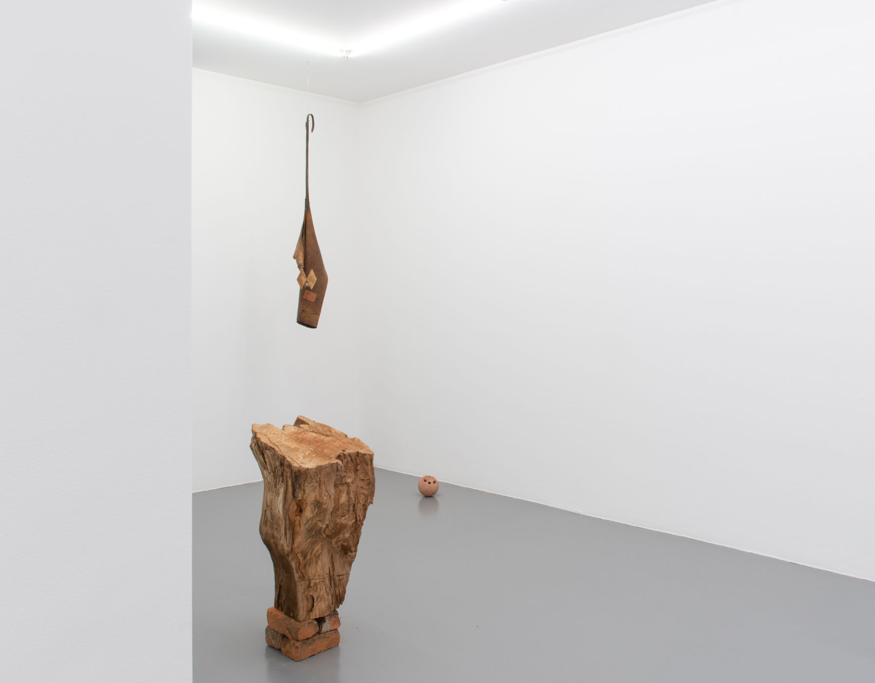 Image for Jacobo Castellano: Combing Grounds, at Mai 36 Galerie