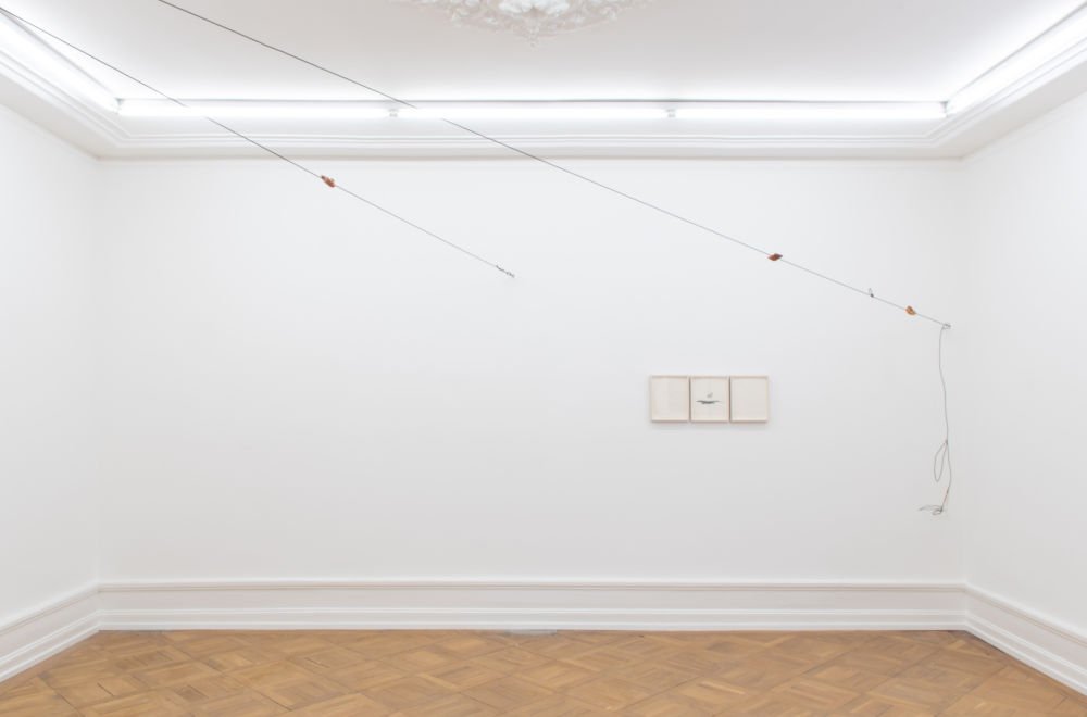 Installation image for Peter Hujar & Paul Thek, at Mai 36 Galerie