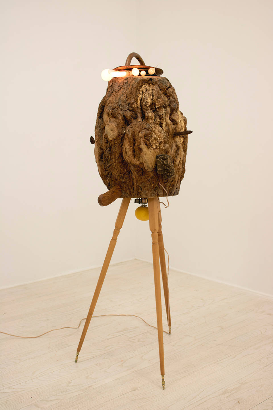 Colby Bird, I Am Not an Animal, 2018