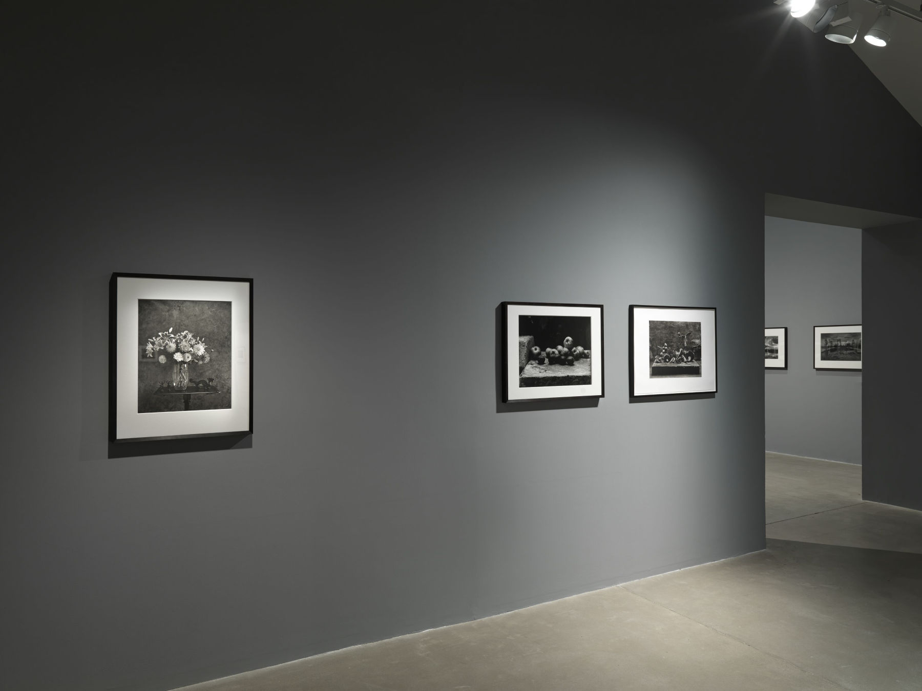 Image for Don McCullin: The Stillness of Life, at Hauser & Wirth Somerset