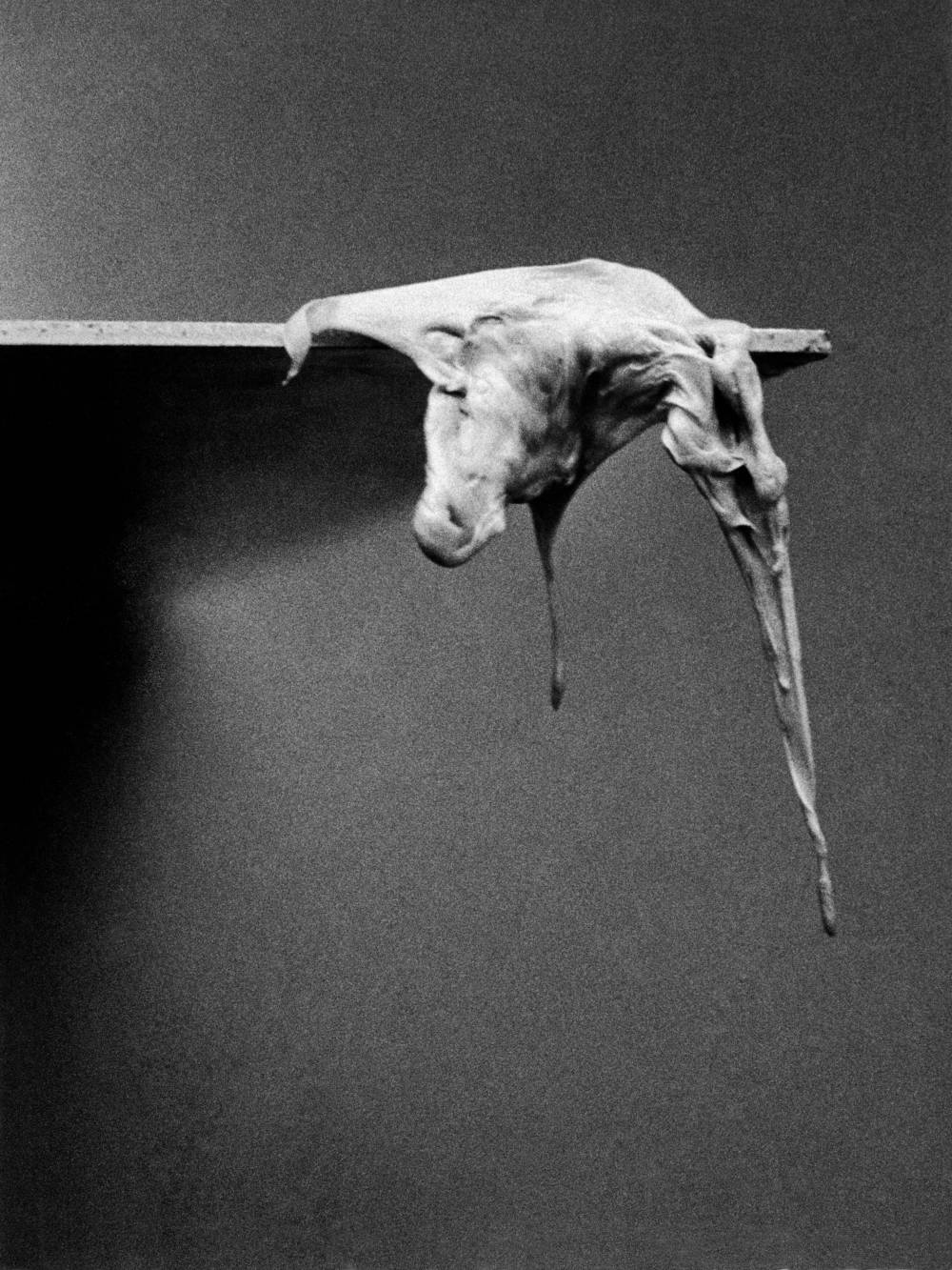 Alina Szapocznikow, Fotorzeźby (Photosculptures) , 1971/2007 