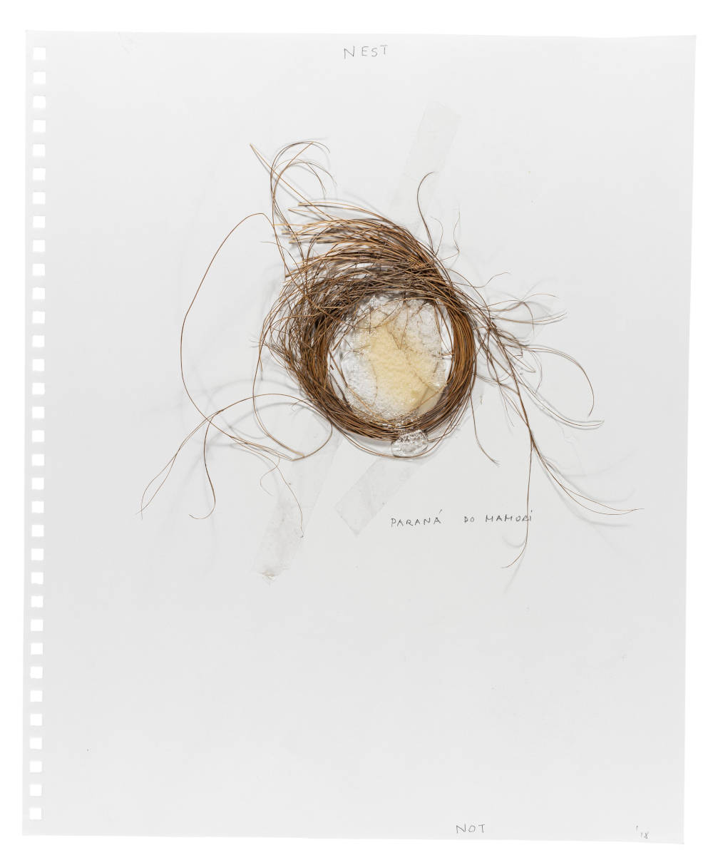 Not Vital, Nest, 2018