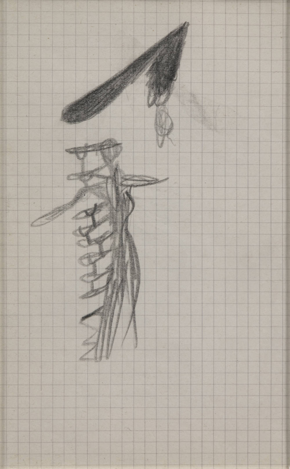 Salvador Dalí, Excroissances dorsales avec béquilles, 1937