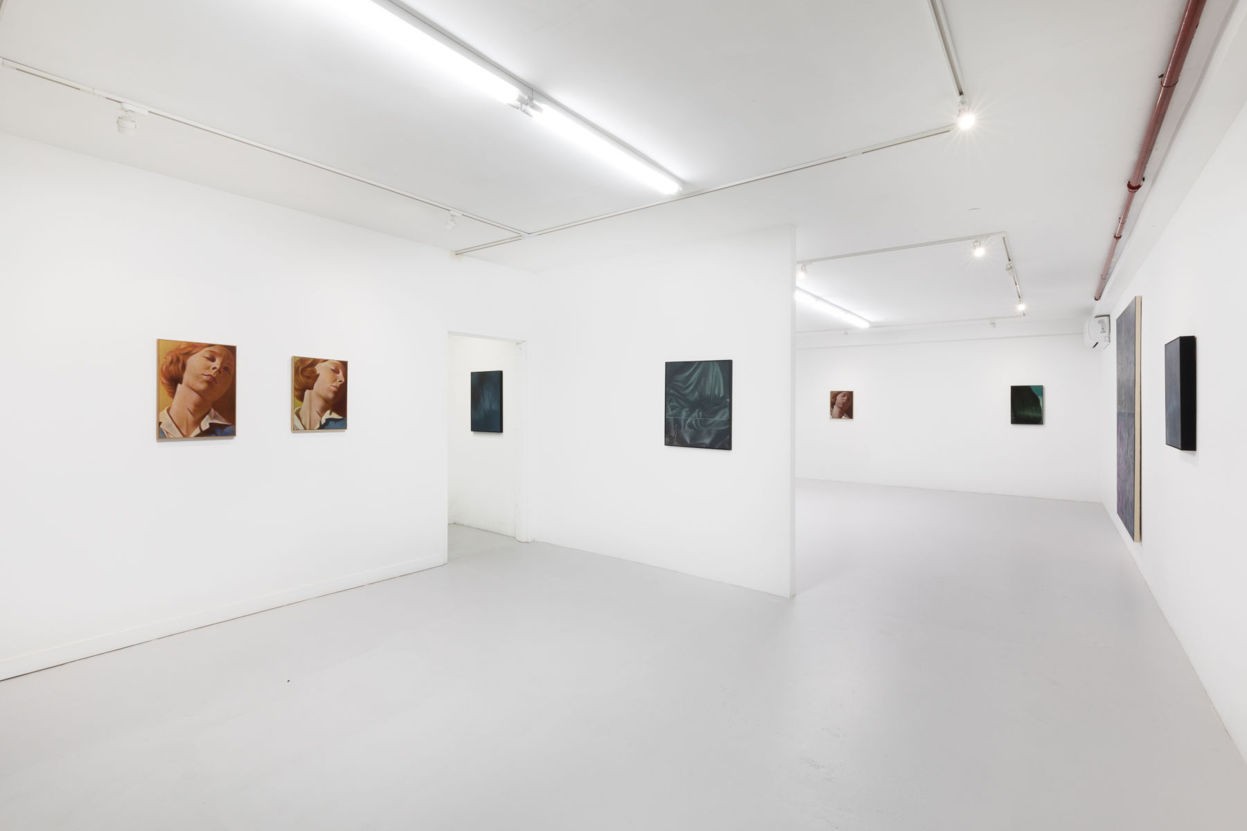 Image for Louise Giovanelli: Aerial Silk, at GRIMM