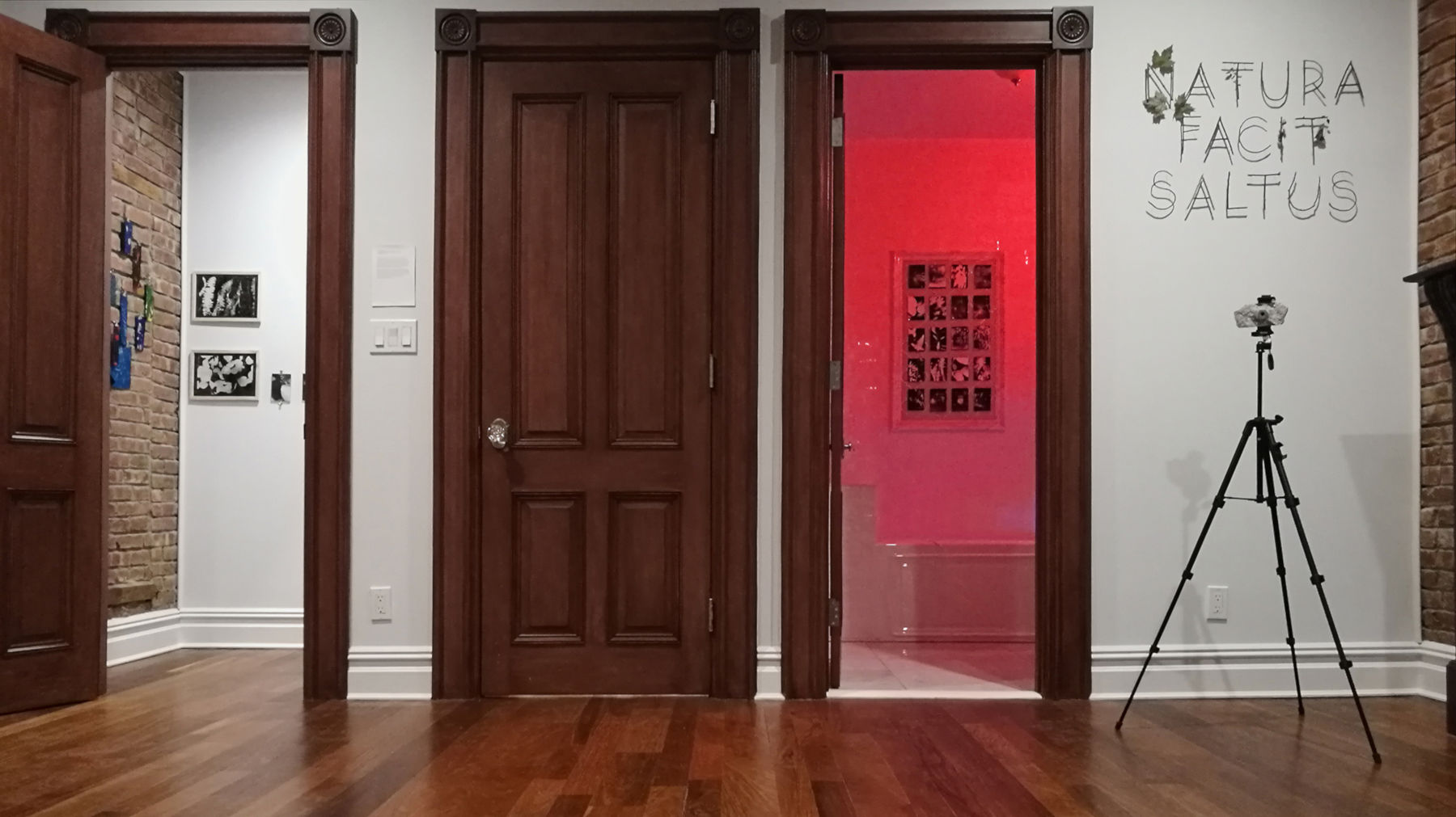 Image for A Room of One's Own at Catinca Tabacaru Gallery, New York, at Anca Poterașu Gallery