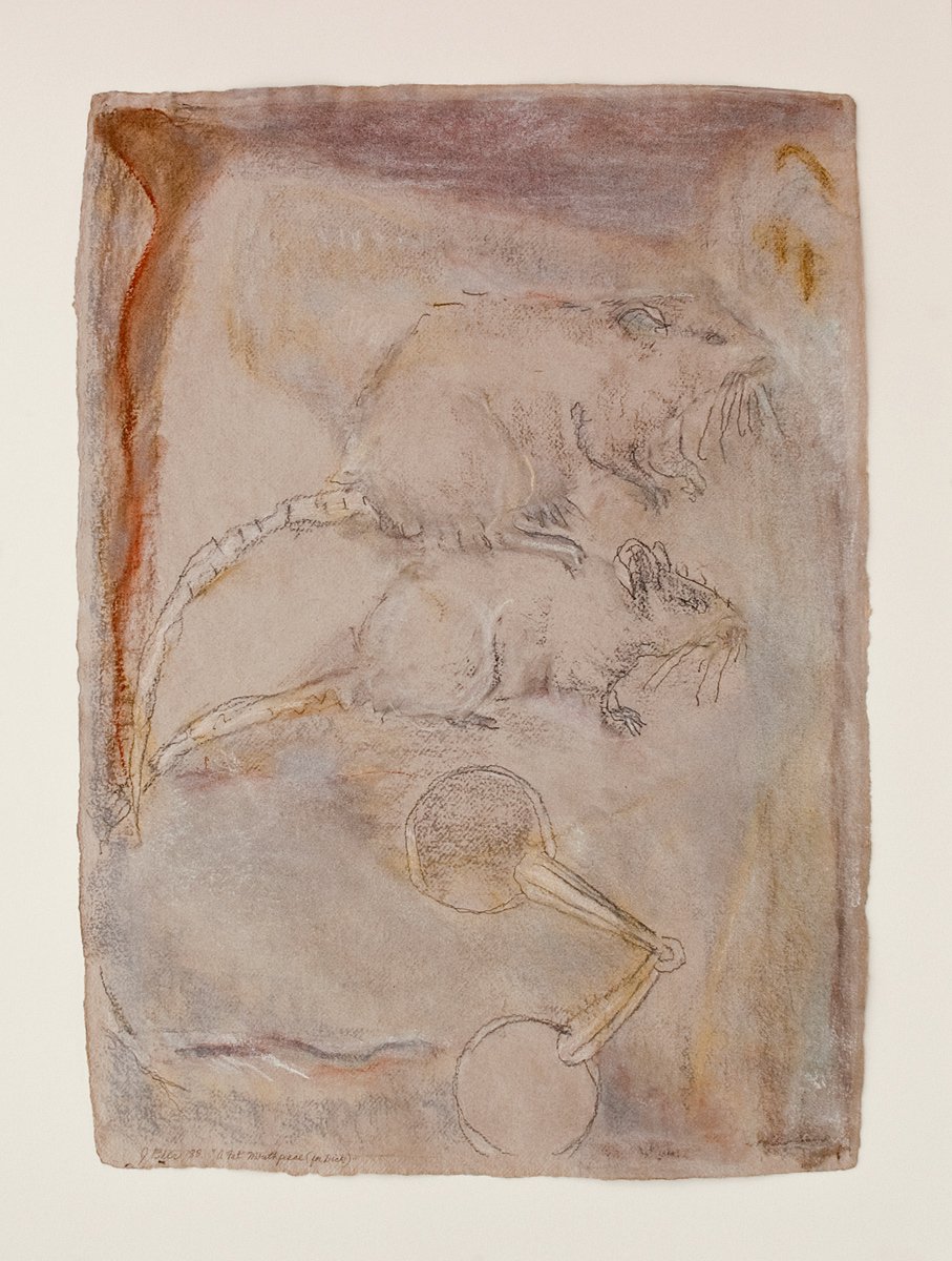 Jo Baer, Anisotropic Relations: A Fat Mouthpiece (for Dick), 1988