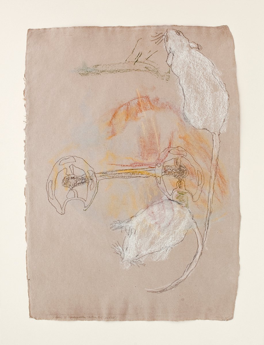 Jo Baer, Anisotropic Relations: Metropolitan Stallion Bit ( for Robt), 1988