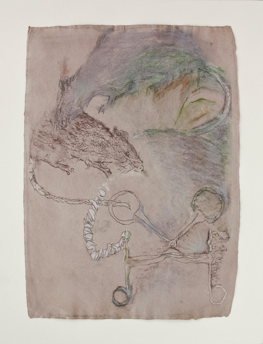 Jo Baer, Anisotropic Relations: Swan-Cheek Double-Bridle (for Bruce), 1988