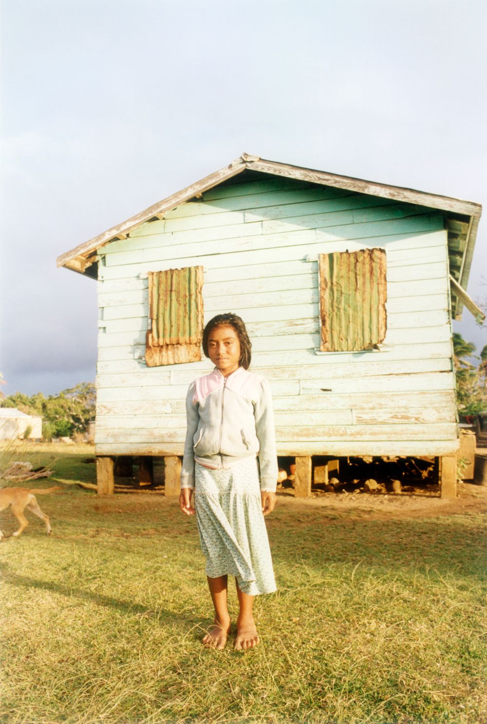 Jitka Hanzlová, #7 Untitled, 1993 (Yellow Earth) from 'TONGA', 1993