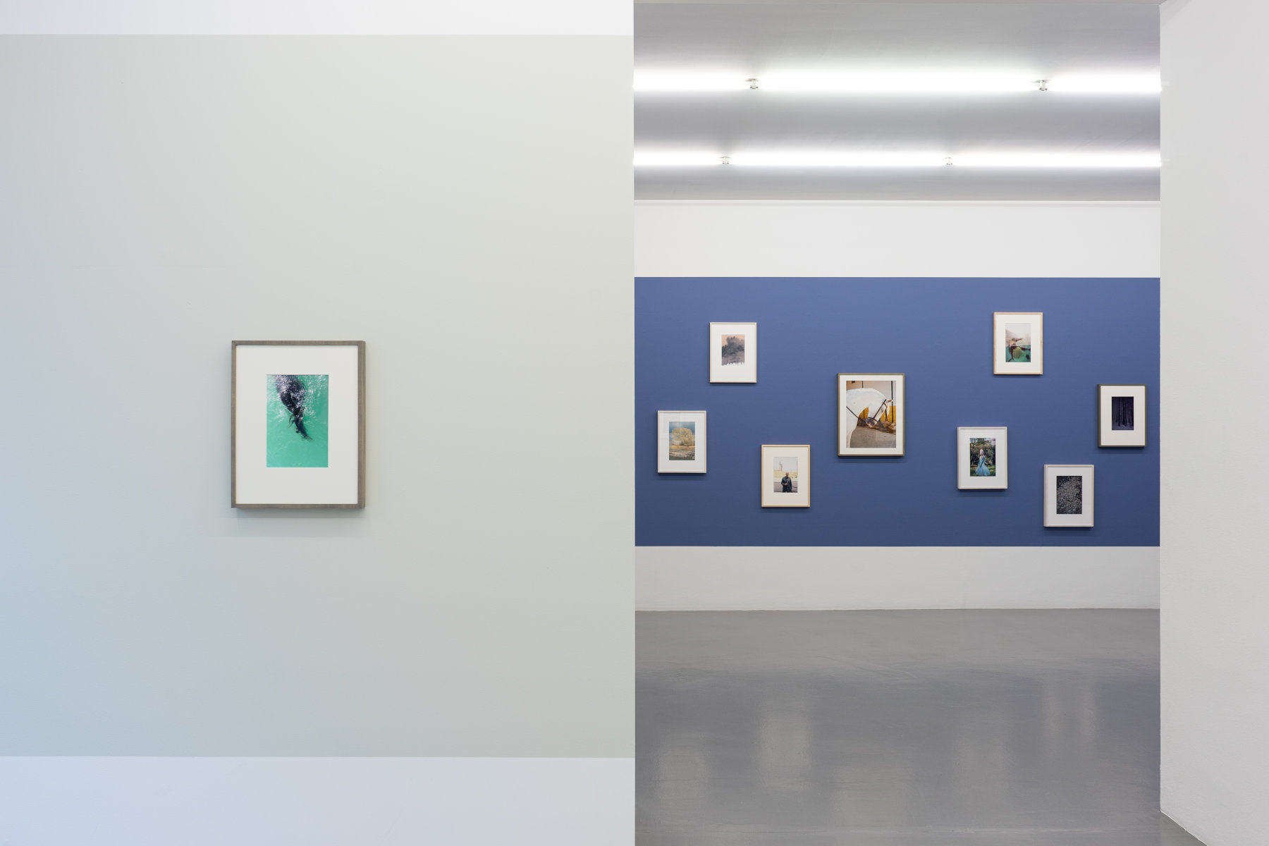 Image for Jitka Hanzlová, at Mai 36 Galerie