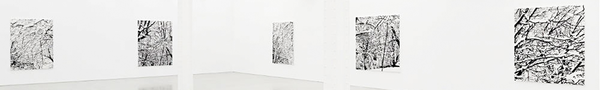 view the Perrotin VR