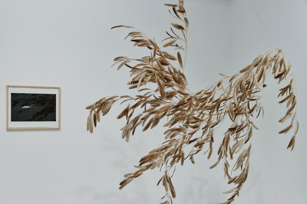 Galerie Chantal Crousel