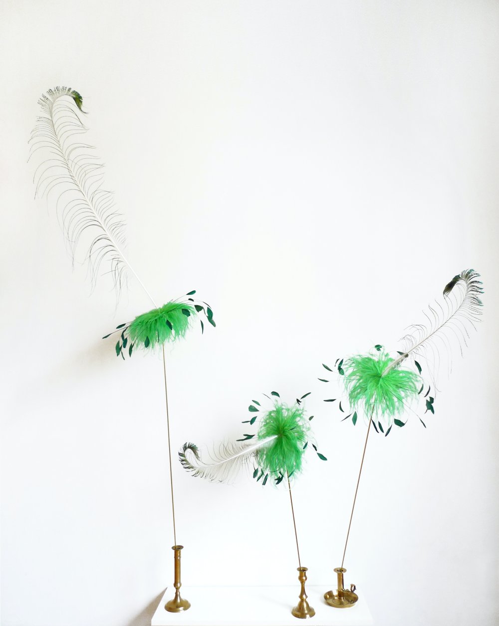 Plüme Ferberger, FAMS IV, 2019
