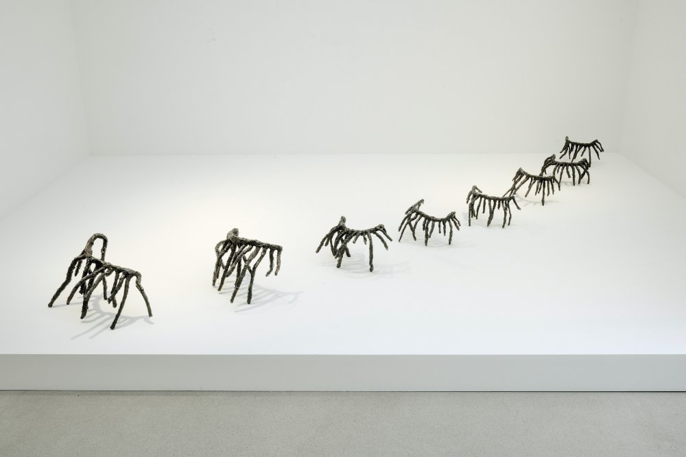 Rosemarie Castoro, Land of Lashes​, 1976