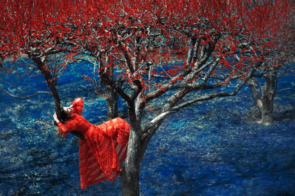 Erik Madigan Heck, Fendi in Apple Orchard, The Garden, 2020