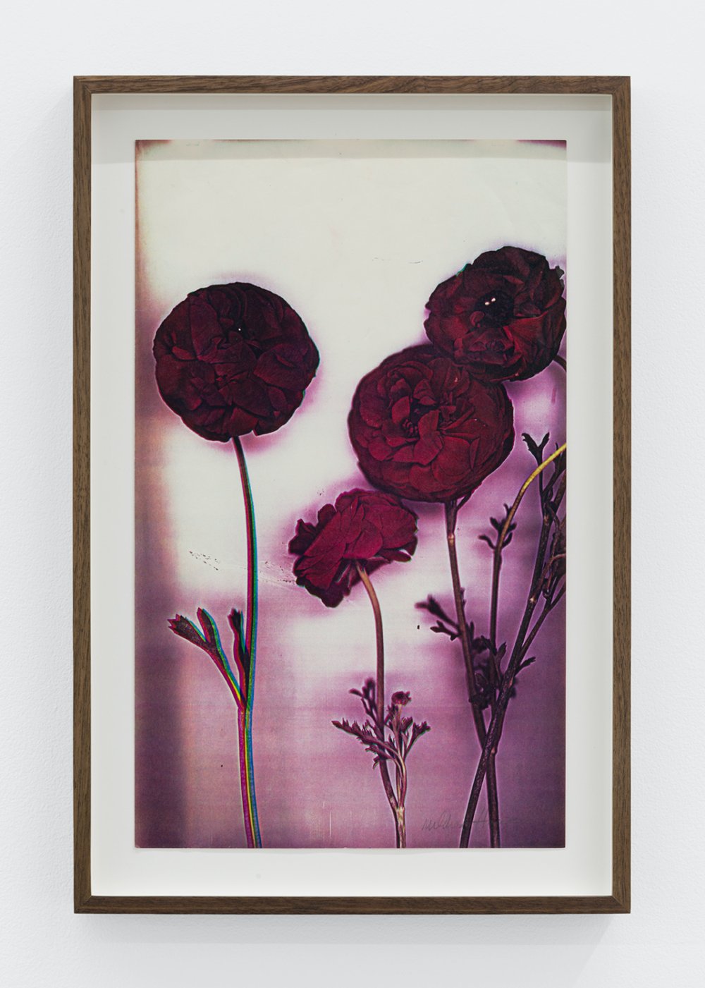 Mildred Howard, Untitled, 1978